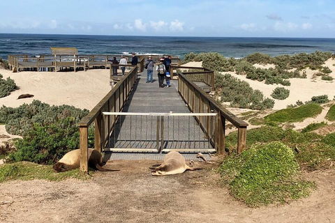 Kangaroo Island 4WD Tour - Best Of KI - Holiday Adelaide 2