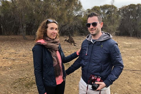 Kangaroo Island 4WD Tour - Best Of KI - Holiday Adelaide 3