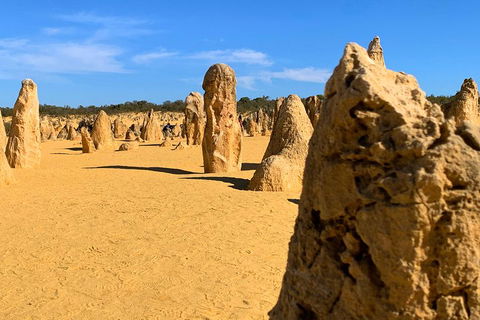Pinnacles Desert (Private) Day Tour - Holiday Adelaide 0