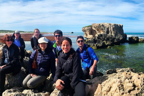 Pinnacles Desert (Private) Day Tour - Holiday Adelaide 4