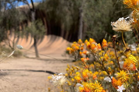 The Big Wave Rock (Private) Day Tour - Holiday Adelaide 3