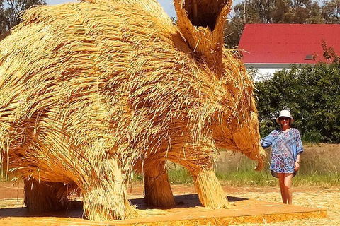 The Big Wave Rock (Private) Day Tour - Holiday Adelaide 5