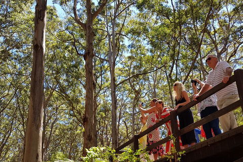 The All About Margaret River Tour: Wine, Coffee, Lunch And Forest - Holiday Adelaide 3