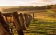 The All About Margaret River Tour: Wine, Coffee, Lunch And Forest - thumb 5