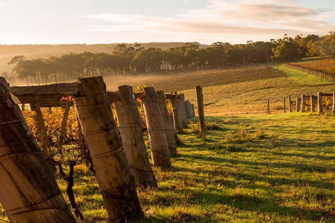 The All About Margaret River Tour: Wine, Coffee, Lunch And Forest - Holiday Adelaide 5