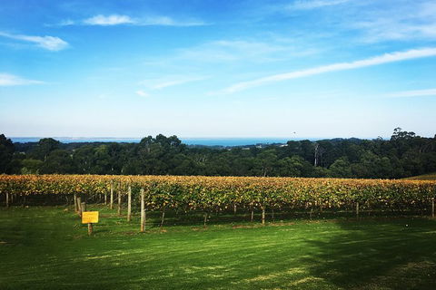 Yarra Valley Private Car Winery Tour And Chocolate.1-7 Passengers One Car Price - Holiday Adelaide 0