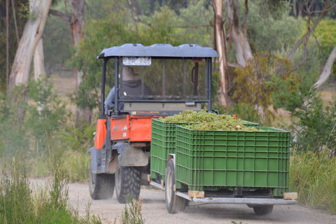 Yarra Valley Private Car Winery Tour And Chocolate.1-7 Passengers One Car Price - Holiday Adelaide 1