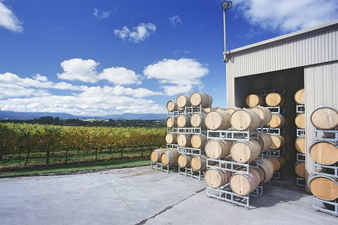 Yarra Valley Private Car Winery Tour And Chocolate.1-7 Passengers One Car Price - Holiday Adelaide 2