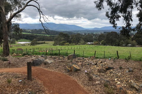 Yarra Valley Wine Tour Inc Lunch With A Glass Of Wine, Tastings And Chocolate - Holiday Adelaide 0