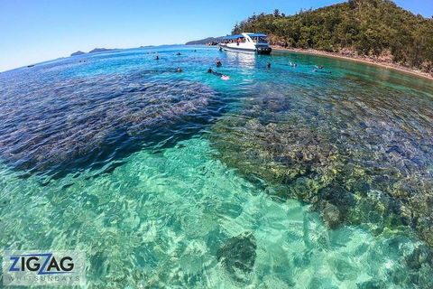 Whitehaven Beach Day Tour With Snorkel In Whitsundays Island - Holiday Adelaide 5