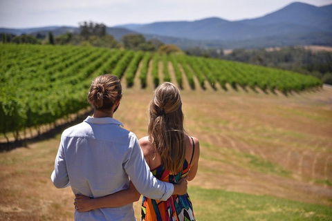 Yarra Valley Wine, Bubbles And Gin Tour! - Holiday Adelaide 4