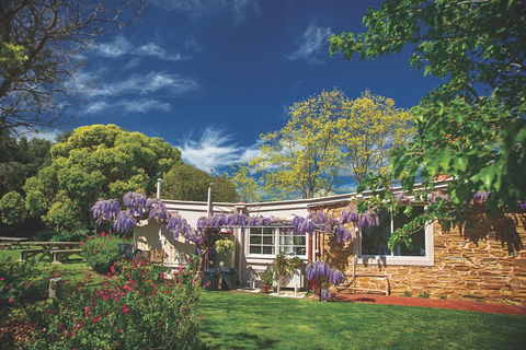 McLaren Vale Winery Small Group Tour With Wine Tasting And Lunch - Holiday Adelaide 2
