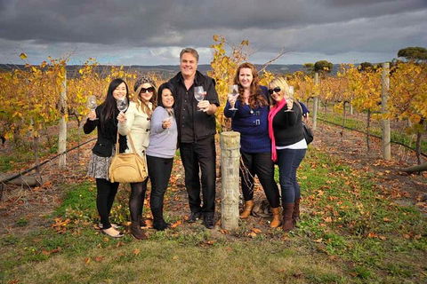 McLaren Vale Winery Small Group Tour With Wine Tasting And Lunch - Holiday Adelaide 3