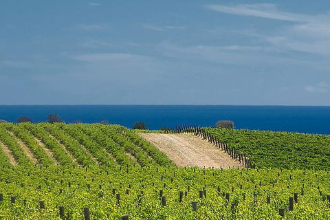McLaren Vale Winery Small Group Tour With Wine Tasting And Lunch - Holiday Adelaide 4