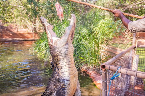 Malcolm Douglas Crocodile Park Tour Including Transportation - Holiday Adelaide 5