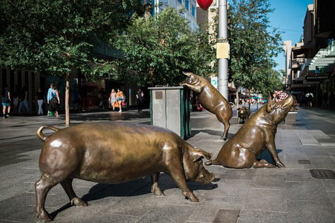 Guided Walking Tour In Adelaide - Holiday Adelaide 4