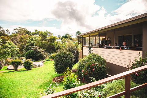 Full-day Springbrook National Park Tour From The Gold Coast - Holiday Adelaide 2