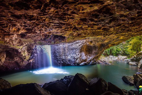 Full-day Springbrook National Park Tour From The Gold Coast - Holiday Adelaide 3