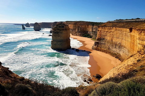 Helicopter Flight + Fine Dining Private Luxury Great Ocean Road Tour - Holiday Adelaide 4