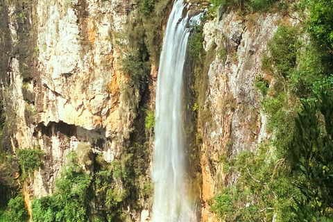 Natural Arch, Rainforest & Volcano Canyon - Private Half Day Tour - Holiday Adelaide 2