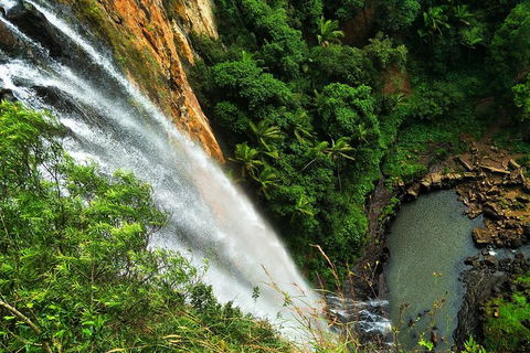 Natural Arch, Rainforest & Volcano Canyon - Private Half Day Tour - Holiday Adelaide 5