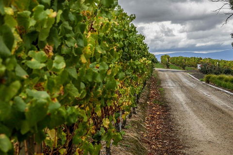 Yarra Valley Public Winery Tours - Holiday Adelaide 2