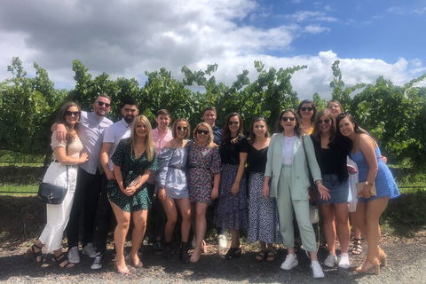 Yarra Valley Public Winery Tours - Holiday Adelaide 3
