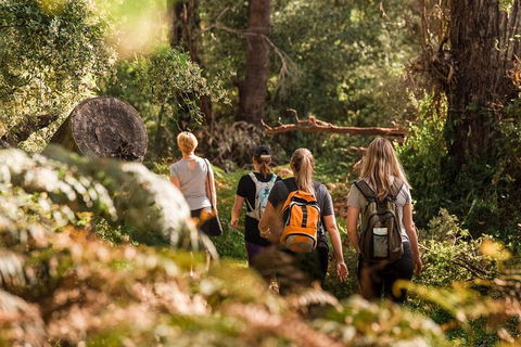 Cabaret Cave Yoga & Mindful Hike - Holiday Adelaide 2