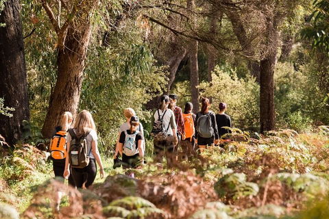 Half-Day Yanchep Ghost House Wilderness Guided Hike Tour - Holiday Adelaide 0