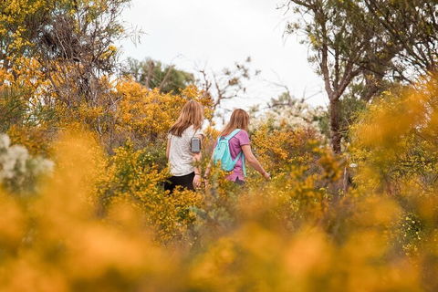 Half-Day Yanchep Ghost House Wilderness Guided Hike Tour - Holiday Adelaide 4
