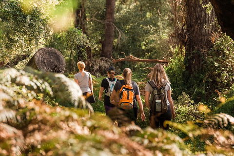 Half-Day Yanchep Ghost House Wilderness Guided Hike Tour - Holiday Adelaide 5