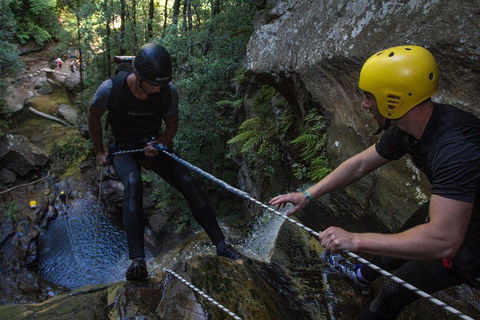 Blue Mountains Empress Canyon Adventure From Wentworth Falls - Holiday Adelaide 2