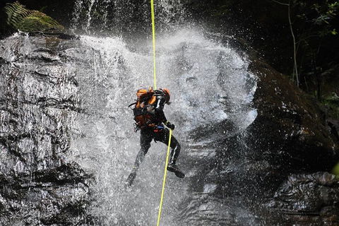 Blue Mountains Empress Canyon Adventure From Wentworth Falls - Holiday Adelaide 3