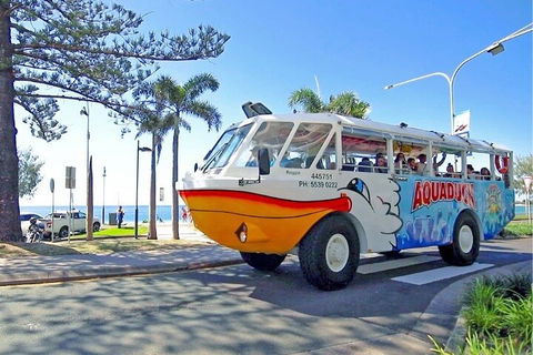Aquaduck Sunshine Coast - Holiday Adelaide 1