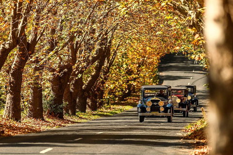 Blue Mountains Vintage Cadillac Tour With Local Guide - Holiday Adelaide 1