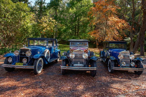 Blue Mountains Vintage Cadillac Tour With Local Guide - Holiday Adelaide 4