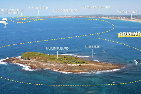 1.5HR Mudjimba Island Wildlife Safari - Holiday Adelaide 1