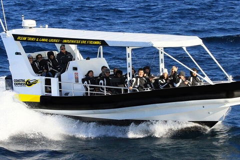1.5HR Mudjimba Island Wildlife Safari - Holiday Adelaide 2