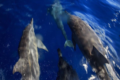 1.5HR Mudjimba Island Wildlife Safari - Holiday Adelaide 3