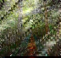 O'Reilly's  Lamington National Park from Gold Coast
