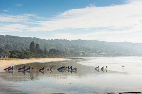 LGBT+ Friendly 12-Hour Great Ocean Road Private Tour - Holiday Adelaide 2