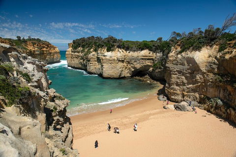 LGBT+ Friendly 12-Hour Great Ocean Road Private Tour - Holiday Adelaide 5