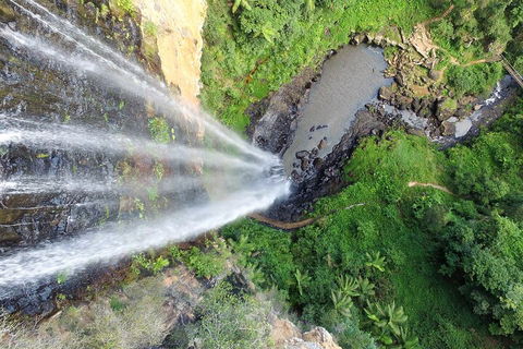 Natural Bridge & Springbrook Waterfalls Tour + Hot Air Balloon With Breakfast - Holiday Adelaide 1