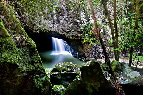 Natural Bridge & Springbrook Waterfalls Tour + Hot Air Balloon With Breakfast - Holiday Adelaide 4