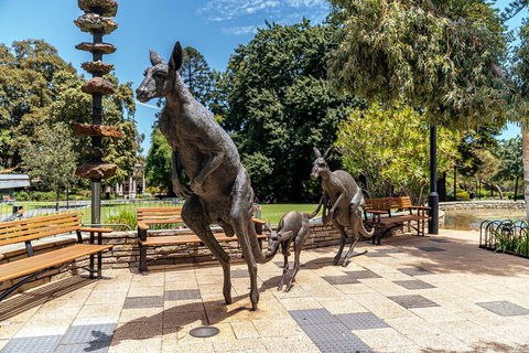 Highlights & Hidden Gems With Locals: Best Of Perth Private Tour - Holiday Adelaide 3