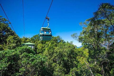 Skyrail Rainforest Cableway Day Trip From Cairns - Holiday Adelaide 1