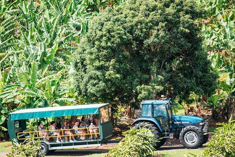 Northern Rivers Full Day Wine Tour - Holiday Adelaide 1