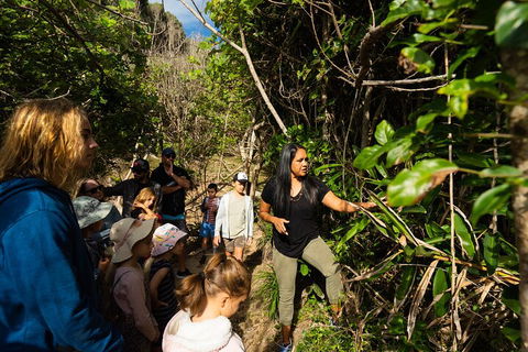 Cape Byron Aboriginal Tour - Holiday Adelaide 4