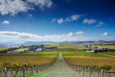 Yarra Valley Wine And Wildlife Self-Driving Tour - Holiday Adelaide 1
