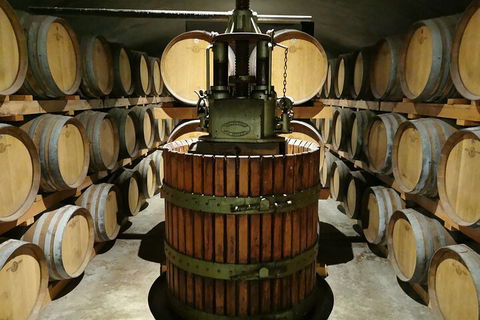 Margaret River Impression Day Tour From Perth - Holiday Adelaide 1